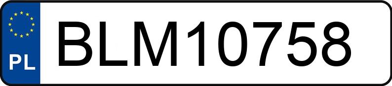 Numer rejestracyjny BLM 10758 posiada BMW 318 Diesel Kat. MR`01 E3 E46 318 Diesel Kat. MR`01 E3 E46 - BLM10758