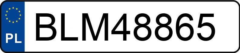 Numer rejestracyjny BLM 48865 posiada FIAT FIORINO - BLM48865