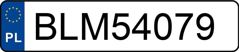Numer rejestracyjny BLM 54079 posiada JEEP GRAND CHEROKEE - BLM54079