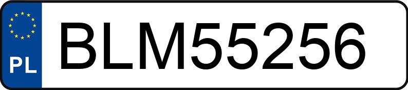 Numer rejestracyjny BLM 55256 posiada AUDI A3 2.0 TDI - BLM55256