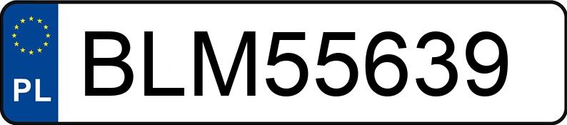 Numer rejestracyjny BLM 55639 posiada MERCEDES-BENZ B 200 MR`08 E4 245 B 200 MR`08 E4 245 - BLM55639