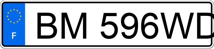 Numer rejestracyjny BM596WD posiada PEUGEOT 306