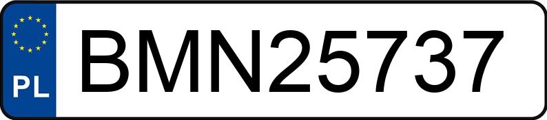 Numer rejestracyjny BMN 25737 posiada VOLKSWAGEN GOLF - BMN25737