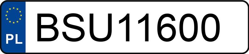 Numer rejestracyjny BSU 11600 posiada RENAULT Trafic 1.9 dCi MR`01 E3 3.0t L1H1P1 - BSU11600