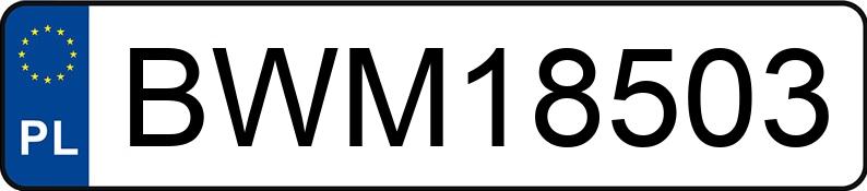 Numer rejestracyjny BWM 18503 posiada TOYOTA Avensis Sedan MR`09 E4 Luna MM - BWM18503