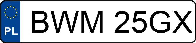 Numer rejestracyjny BWM 25GX posiada CHEVROLET Lacetti 1.6 16V MR`04 E4 SX Elite - BWM25GX