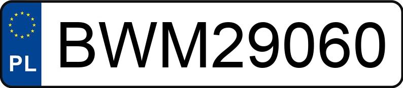 Numer rejestracyjny BWM 29060 posiada NISSAN X-TRAIL - BWM29060