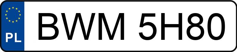 Numer rejestracyjny BWM 5H80 posiada LEXUS GS 300 - BWM5H80