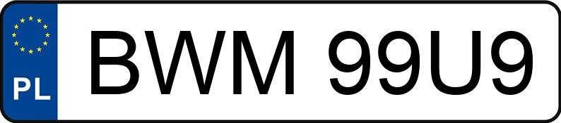 Numer rejestracyjny BWM 99U9 posiada WŁADIMIREC T-25A1 - BWM99U9