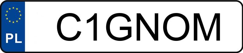 Numer rejestracyjny C1GNOM posiada SEAT LEON