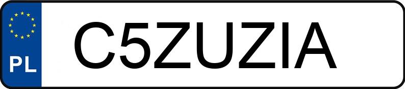 Numer rejestracyjny C5ZUZIA posiada BMW 523i Kat. MR`95 E39 523i Kat. MR`95 E39