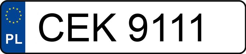 Numer rejestracyjny CEK 9111 posiada FIAT  - CEK9111