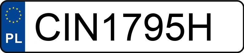 Numer rejestracyjny CIN 1795H posiada DACIA DOKKER - CIN1795H