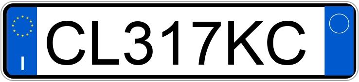 Numer rejestracyjny CL317KC posiada PEUGEOT 206