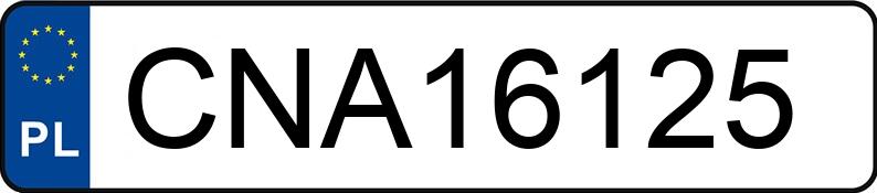 Numer rejestracyjny CNA 16125 posiada BMW 318 I - CNA16125