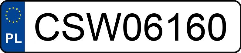 Numer rejestracyjny CSW 06160 posiada BMW 730 Diesel DPF MR`13 E5 FO1/FO2 xDrive Aut. - CSW06160