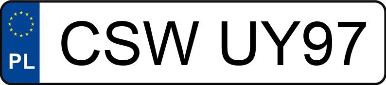Numer rejestracyjny CSW UY97 posiada ZSP NIEWIADÓW Skrzyniowa N200 0.4t 250c - CSWUY97