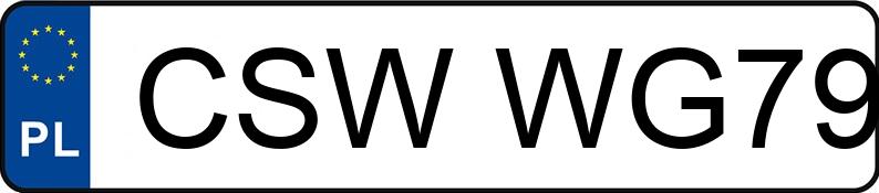 The registration number CSW WG79 has BMW 320i Touring Kat. MR`01 E3 E46 320i Touring Kat. MR`01 E3 E46 - CSWWG79
