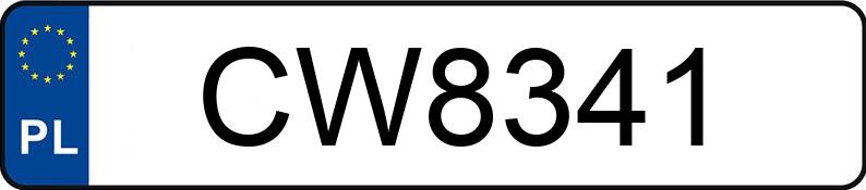 Numer rejestracyjny CW 8341 posiada KSR MOTO TW 125 - CW8341