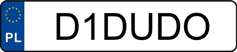 Numer rejestracyjny D1DUDO posiada BMW 318 I