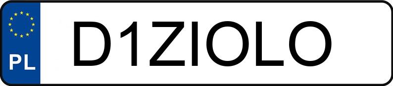 Numer rejestracyjny D1ZIOLO posiada MERCEDES-AMG AMG GT 53 4MATIC+