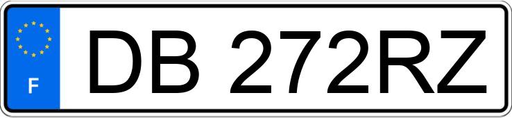 Numer rejestracyjny DB272RZ posiada RENAULT MASTER III