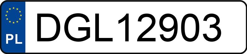 Numer rejestracyjny DGL 12903 posiada MAN/MAN TRUCK  - DGL12903