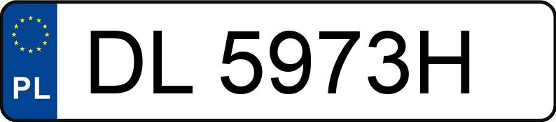 Numer rejestracyjny DL 5973H posiada VOLKSWAGEN New Beetle MR`98 E3 New Beetle MR`98 E3 - DL5973H