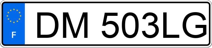 Numer rejestracyjny DM503LG posiada OPEL VIVARO Numer rejestracyjny DM503LG posiada OPEL VIVARO