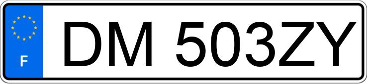 Numer rejestracyjny DM503ZY posiada MERCEDES CLASSE B