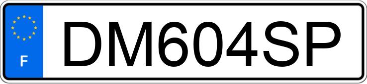 Numer rejestracyjny DM604SP posiada FIAT GRANDE PUNTO