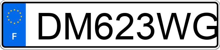 Numer rejestracyjny DM623WG posiada RENAULT TRAFIC III