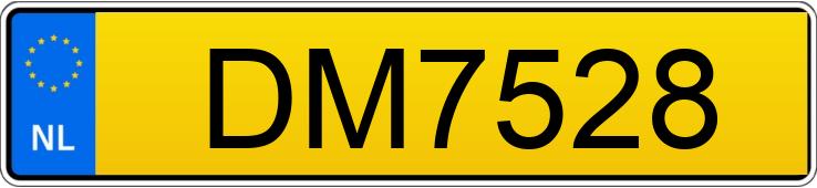 Numer rejestracyjny DM7528 posiada DODGE CHARGER
