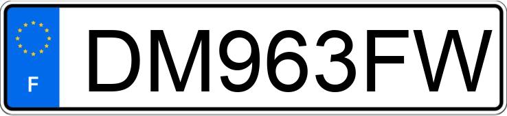 Numer rejestracyjny DM963FW posiada MERCEDES 500