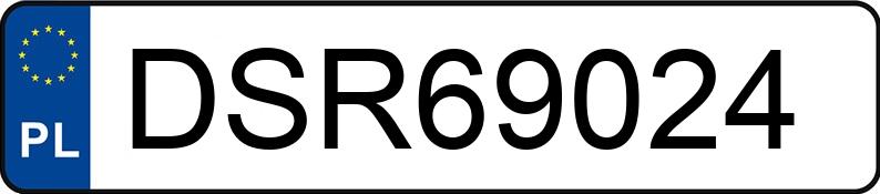 Numer rejestracyjny DSR 69024 posiada OPEL VIVARO - DSR69024