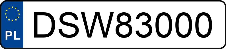 Mistrz parkowania w pojeździe o numerach DSW83000 Mistrz parkowania w pojeździe o numerach DSW83000