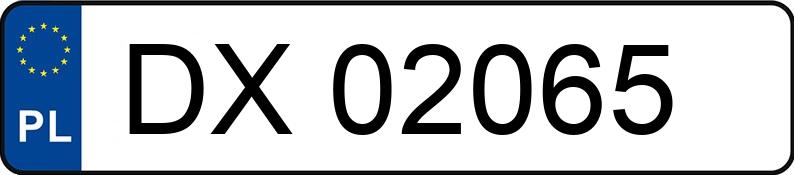 Numer rejestracyjny DX 02065 posiada RENAULT Arkana Tce Mild Hybrid MR`21 E6d - DX02065