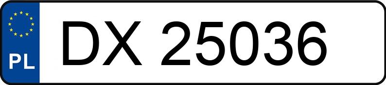 Numer rejestracyjny DX 25036 posiada PEUGEOT/IZOTERMY TIM BOXER - DX25036