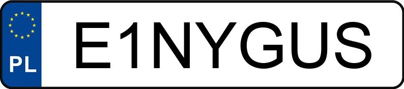 Numer rejestracyjny E1NYGUS posiada FORD Mustang 5.0 MR`18 E6 GT