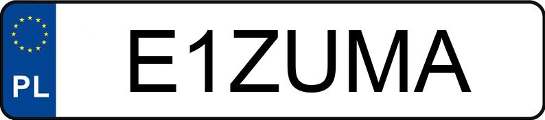 Numer rejestracyjny E1ZUMA posiada MERCEDES-BENZ S 600