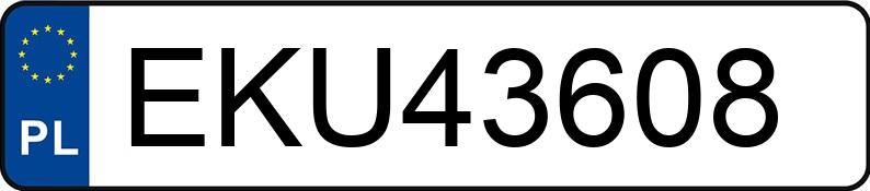 Numer rejestracyjny EKU 43608 posiada RENAULT Grand Espace IV 2.0 Turbo MR`06 E4 Impulsion 170 Aut. - EKU43608