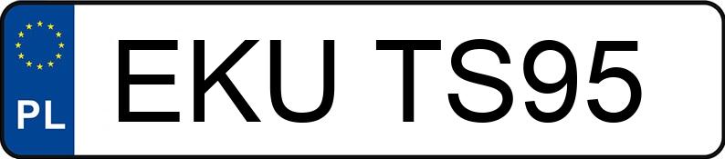Numer rejestracyjny EKU TS95 posiada VOLKSWAGEN PASSAT - EKUTS95