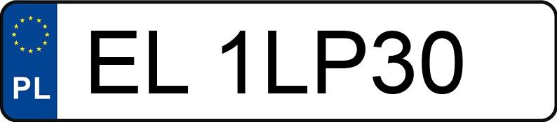 Numer rejestracyjny EL 1LP30 posiada BMW 320I - EL1LP30