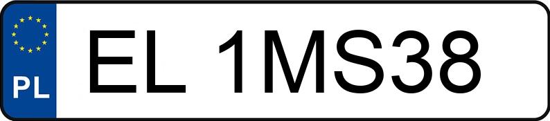 Numer rejestracyjny EL 1MS38 posiada VOLKSWAGEN GOLF - EL1MS38