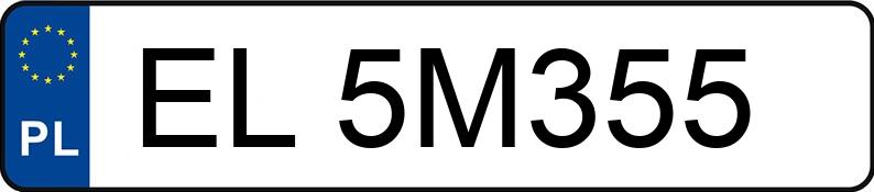 Numer rejestracyjny EL 5M355 posiada NISSAN JUKE - EL5M355