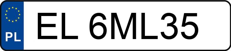 Numer rejestracyjny EL 6ML35 posiada MERCEDES-BENZ 250 D 124 250D - EL6ML35
