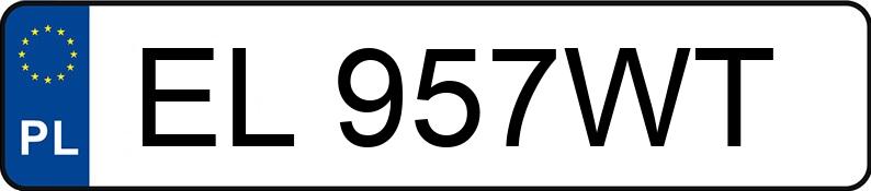 Numer rejestracyjny EL 957WT posiada MERCEDES-BENZ E 220 CDI MR`02 E3 211 Elegance - EL957WT