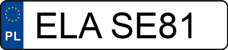 Numer rejestracyjny ELA SE81 posiada VOLKSWAGEN PASSAT - ELASE81