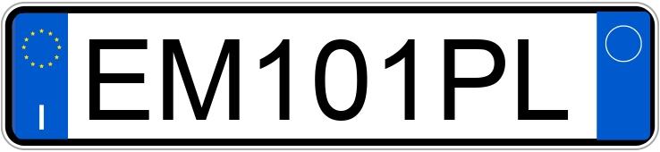 Numer rejestracyjny EM101PL posiada FIAT Punto 4a serie