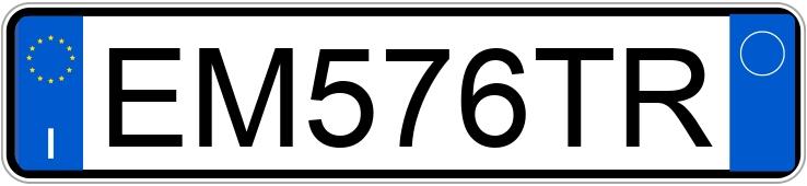 Numer rejestracyjny EM576TR posiada FIAT Punto 4a serie